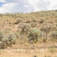 American Falls Idaho Real Estate