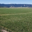 Pocatello Real Estate - MLS #582511 - Photograph #4