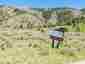 Pocatello Real Estate - MLS #582522 - Photograph #29